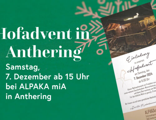 Style Art beim Hofadvent 2024 in Anthering