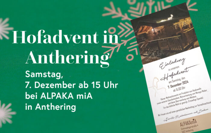 Hofadvent in Anthering
